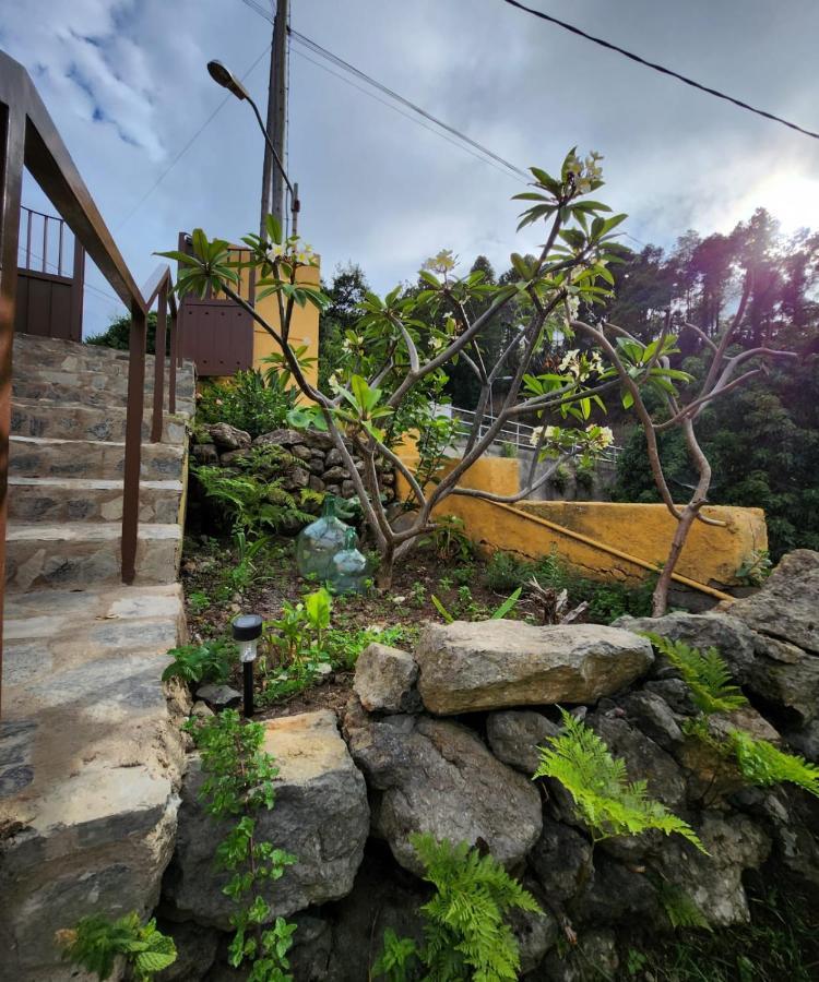 Vv Casa Muya Villa Icod De Los Vinos Dış mekan fotoğraf